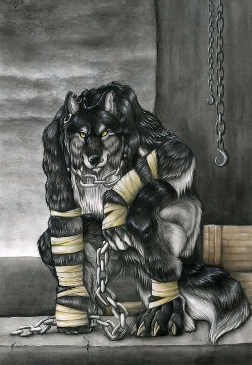 http://i91.photobucket.com/albums/k320/Shinju_Ryuu/Anime%20People/werewolf.jpg