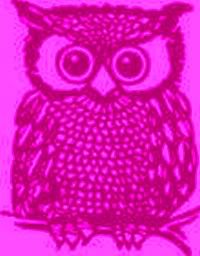 Owl in Pink Pictures, Images and Photos