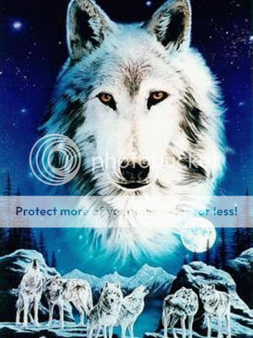 Fantasy Wolf Image - Fantasy Wolf Graphic Code