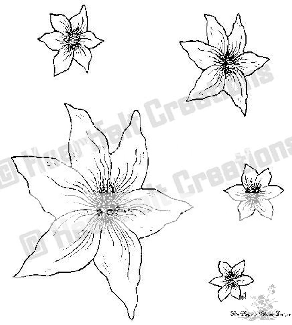 Malabar Clematis Precut Stamp Set