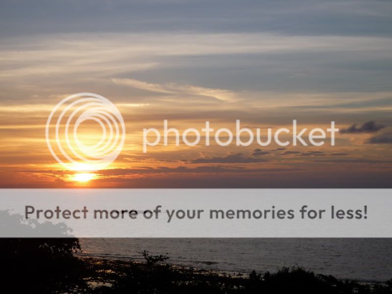 asia through boobs' pants